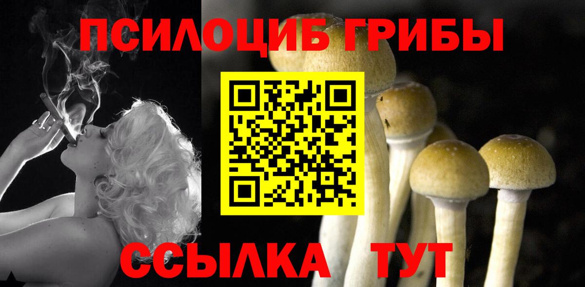 Галлюциногенные грибы мухоморы  Вход с VPN  где продают наркотики  Елабуга 